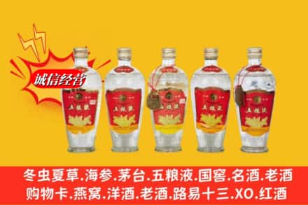 广元市回收老五粮液