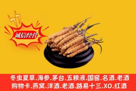 广元市求购回收虫草多少钱每克